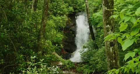Mysterious Forest Waterfall Stock Footage 235210203