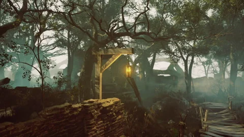 Mysterious glade with glowing lantern surrounded by ancient trees Video stock 341601024