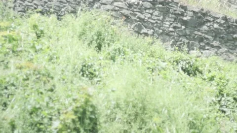 Mysterious gothic tower Close Up, Tilt up, ungraded Видео 135574608