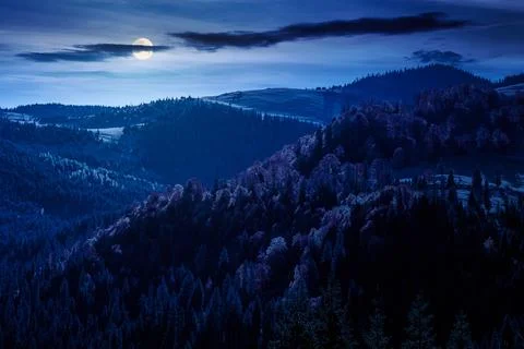 Mysterious hillside of mountain range with mixed forest and alpine meadow i.. Stock Photos