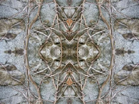 Mysterious kaleidoscope repeat pattern of foliage roots and natural textures for Fotos de archivo