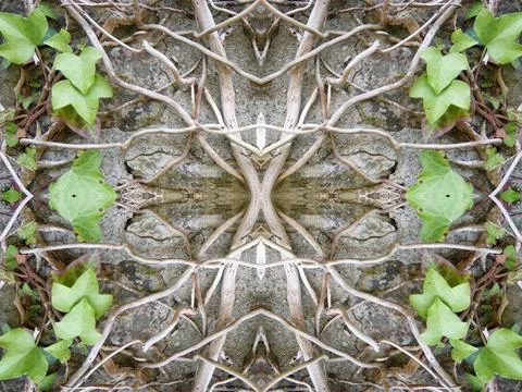 Mysterious kaleidoscope repeat pattern of foliage roots and natural textures for Stock Photos