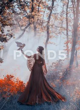 Mysterious lady in gorgeous burgundy red luxurious dress and curly dark hair Stock Photos