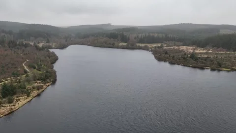 Mysterious Lake Surrounded by Trees Drone Footage Stock Footage 339500243