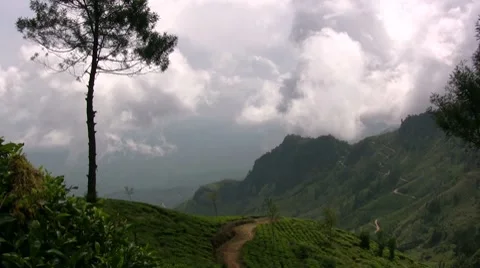 Mysterious looking path in Sri Lanka Stock Footage