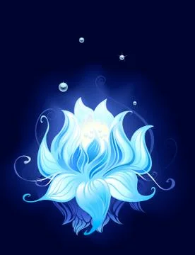 Mysterious lotus. Stock Illustration