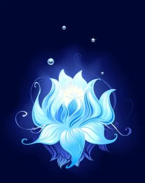 Mysterious Lotus. Stock Illustration