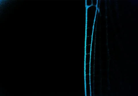 Mysterious macro background with dragonfly wing or abstract net tissue in the Stock Illustration