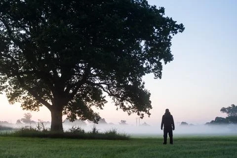 A mysterious man, back to camera. Standing in a field next to an Oak tree Stock Photos
