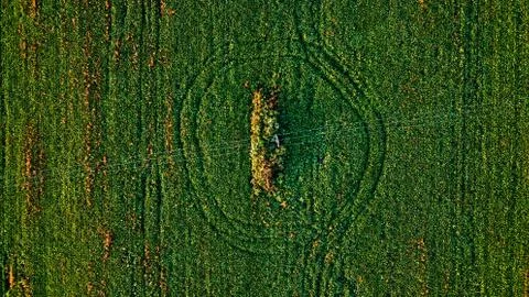 Mysterious Marks in the Field Stock Photos