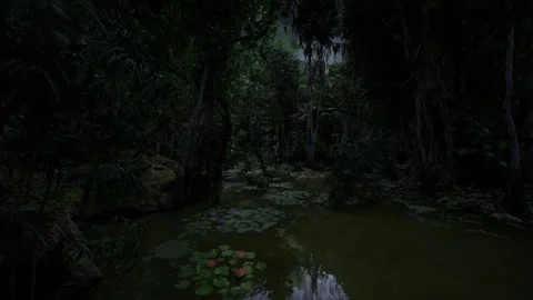 Mysterious midnight swamp, Still waters mirror faint glow of moonlight Stock Footage 334339986