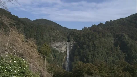 Mysterious Nachi Falls 1 Stock Footage 333180931