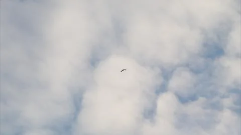A Mysterious Object Seen in the Sky Has Been Observed from Various Distinct Angl Foto stock