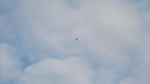 A Mysterious Object in the Sky Was Captured Numerous Times in Different Frames a Stock Footage 318821499