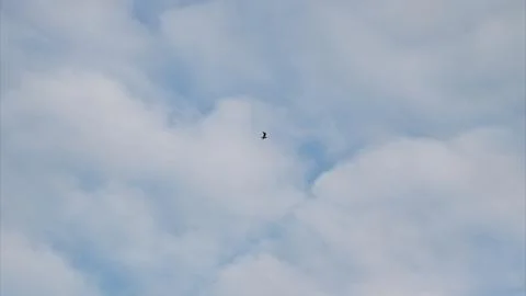 A Mysterious Object in the Sky Was Captured Numerous Times in Different Frames a Stock Photos