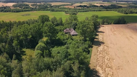 Mysterious old house in the middle of the field forest. Drone aerial footage Stock Footage 170140407