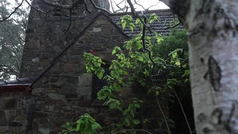 Mysterious old stone cottage in the woods Stock Footage 341908435