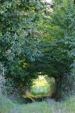 Mysterious passage Stock Photos