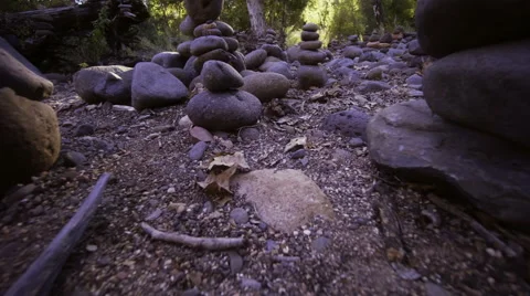 Mysterious path.  Low angle view. 動画素材 46499463