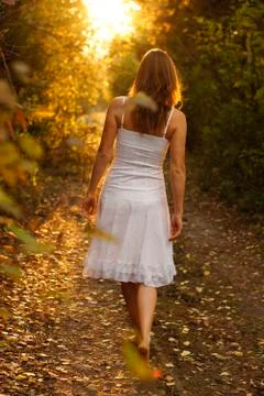 Mysterious path Stock Photos