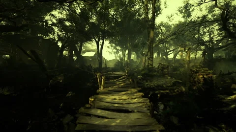 Mysterious pathway through an enchanted forest at twilight Stock Footage 339631129