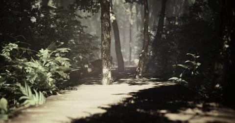 Mysterious pathway through lush forest under soft morning light Stock Illustration