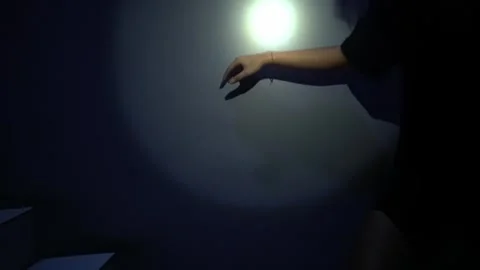 Mysterious Shadow Against Dark Wall Stock Footage 313467737