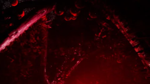 Mysterious Shadows Dance in an Enchanting Red Glow Beneath the Trees Video stock 344530101