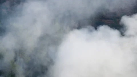 Mysterious Smoke over the Forest Vídeo Stock 237583871