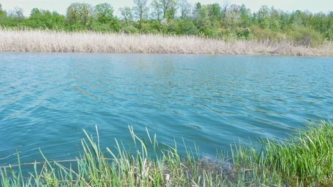 The mysterious spring river is an ideal place for fishing Stock Footage 104445657