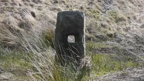 Mysterious stone Stock Footage 313527637