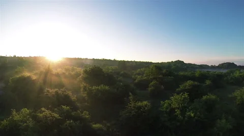 Mysterious sunrise landscape with wood and sunbeams .Aerial Stock Footage