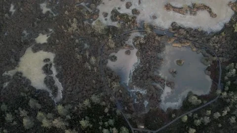 Mysterious swamp 動画素材 146281390