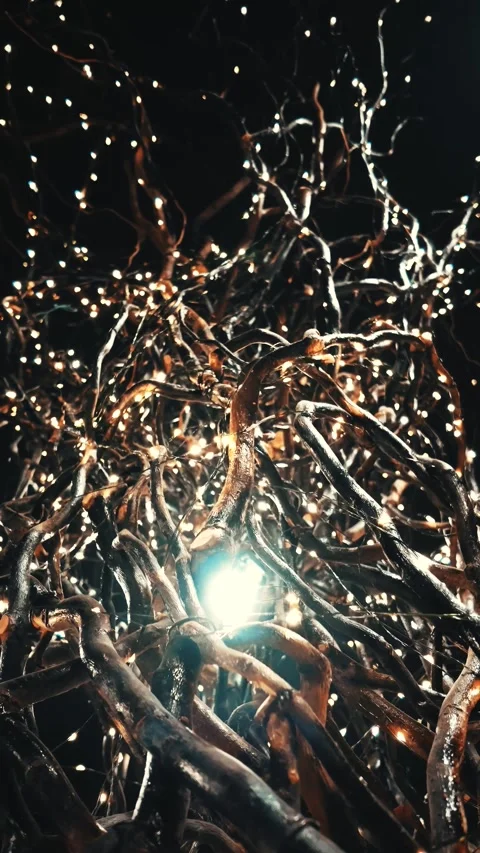 Mysterious tree root weave on a dark background 库存影片 304129791