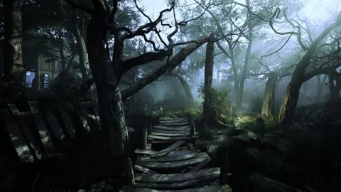 Mysterious twilight path through an enchanted forest in the heart of nature Stock Footage 341832985