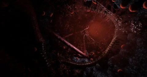 Mysterious underground scene with glowing elements and organic structures Stock Footage 304526082