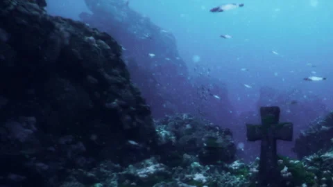 Mysterious Underwater Graveyard Revealing Secrets of the Deep Sea Stock Footage 346693031