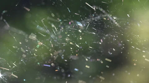 A mysterious web of spiders. Stock Footage 195314673