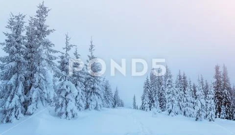 Mysterious winter landscape majestic mountains in . Magica Stock Photos