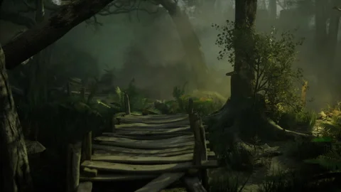 Mysterious wooden path leads through enchanting foggy forest scenery Stock Footage 341600925