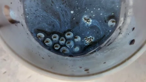 Mystery of Bubbles Stock Footage 246803707