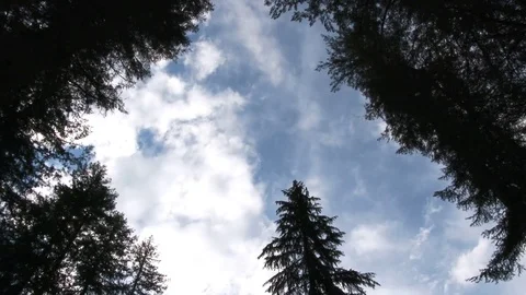 Mystic Clouds Passing Through A Window Of Forest Trees Stock Footage 75946848