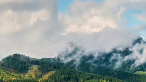 Mystic clouds in spring forest mountain in sunny nature landscape time lapse Stock Footage 149108893