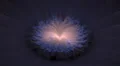 Mystic digital fractal art flower rhythm beat pulsating HD Footage