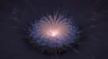 Mystic digital fractal art flower rhythm beat pulsating rotation HD Footage