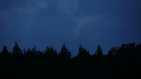 Mystic forest getting dark 스톡 동영상 98749779