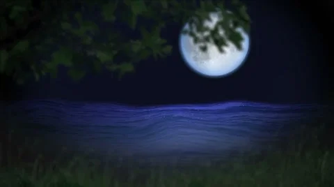 Mystic forest night with blue moon and water Stock Footage