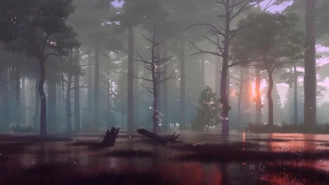 Mystic lights in dark swampy night forest 4K animation Stock Footage