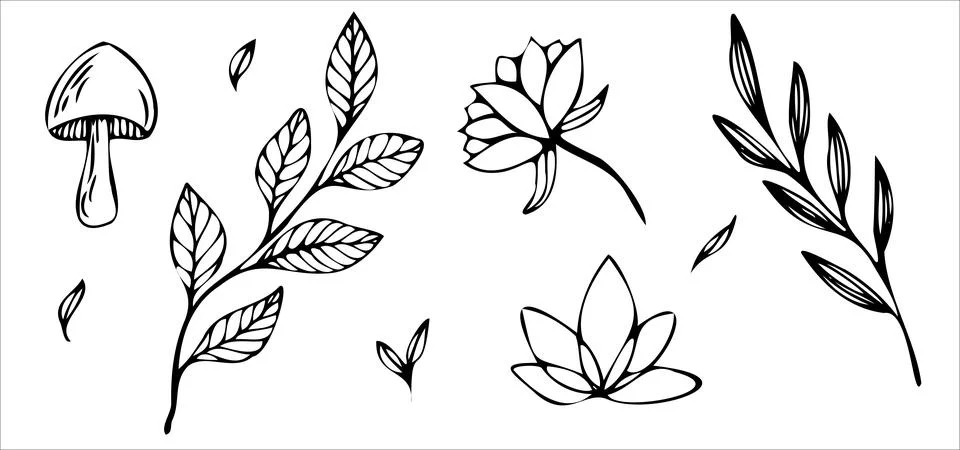 Mystic magic vector line elements. Contour minimalistic hand drawn doodle in Stock Illustration