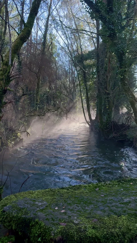 Mystic Mornings: Sun Rays Piercing Through River Mist Stock Footage 269039278